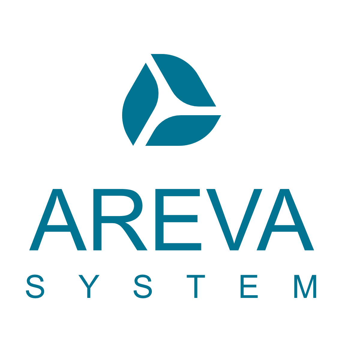 areva_system_consultancy